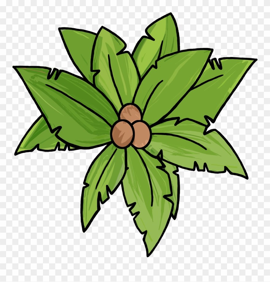 Power Outage Techy Tuesday & A Winner & A Free Palm - Clip Art - Png Download