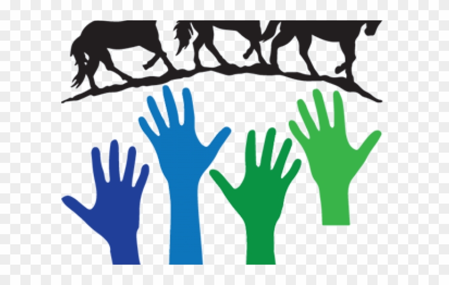 Hand Skin Clip Art - Png Download