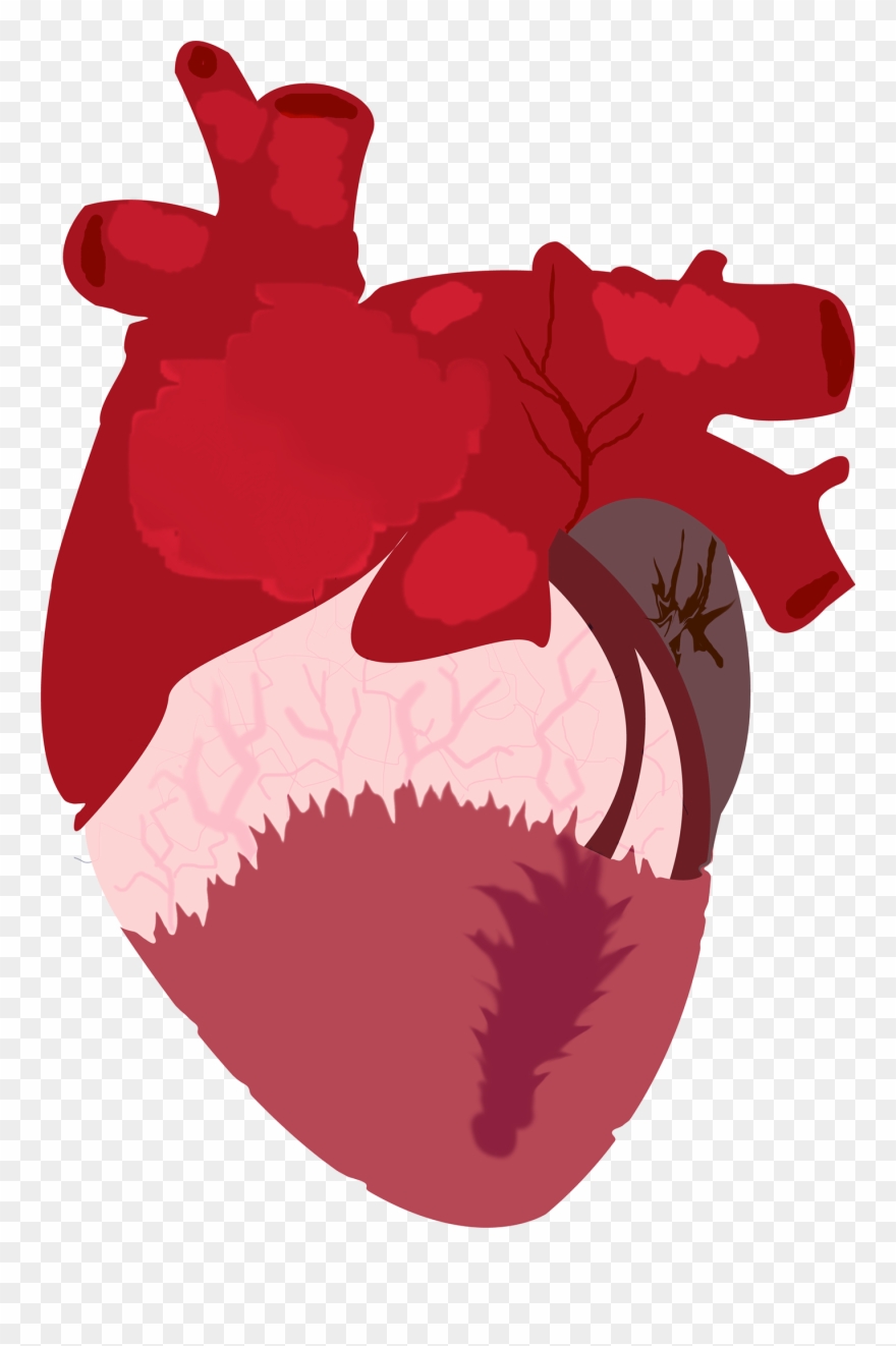 Thank You - Illustration Clipart