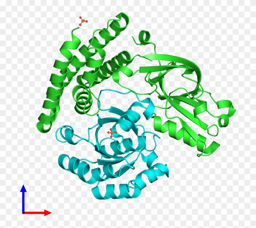 Pdb 3vhl Coloured By Chain And Viewed From The Front - Graphic Design Clipart