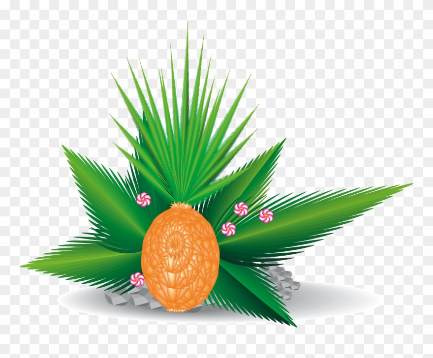 Free Maxim2 41ca3e0f - Folhas Da Planta Palmeira Clipart