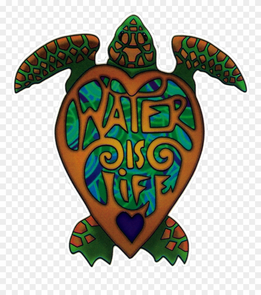 Water Is Life Turtle - Decal Clipart