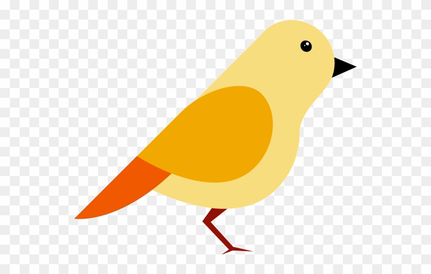 And More - Bird Clipart