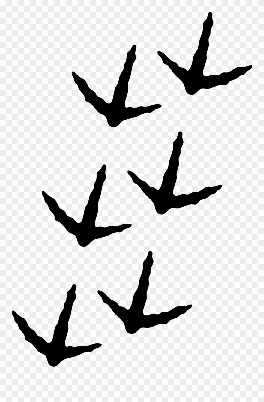 Turkey Tracks Clipart - Turkey Tracks - Png Download