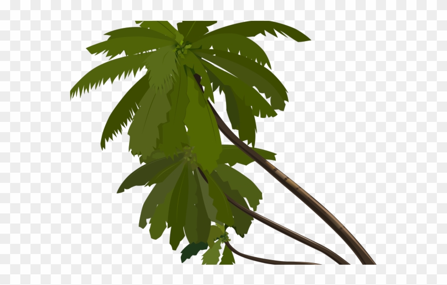 Rainforest Clipart Big Plant - Animated Palm Trees Png Transparent Png