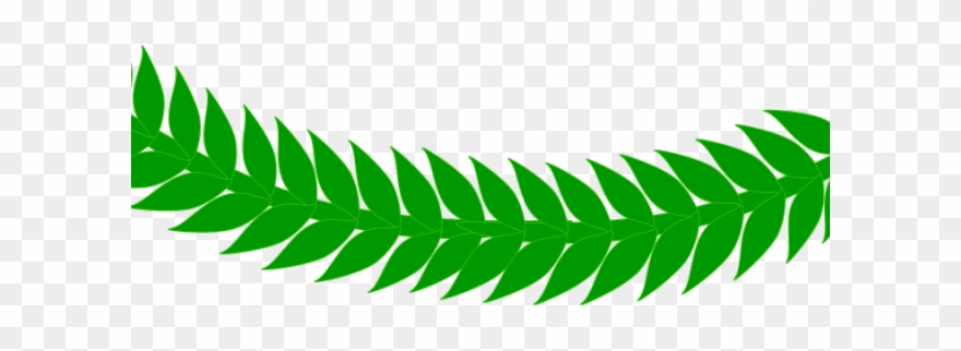 Fern Clipart Daun - Logo - Png Download
