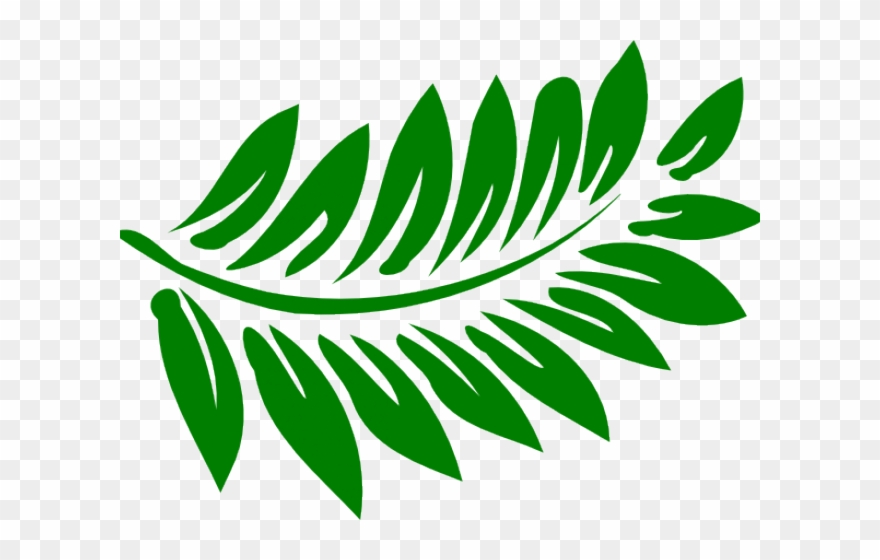 Hibiscus Clip Art - Png Download