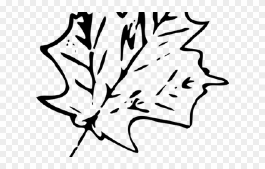 Transparent Leaf Clip Art - Png Download