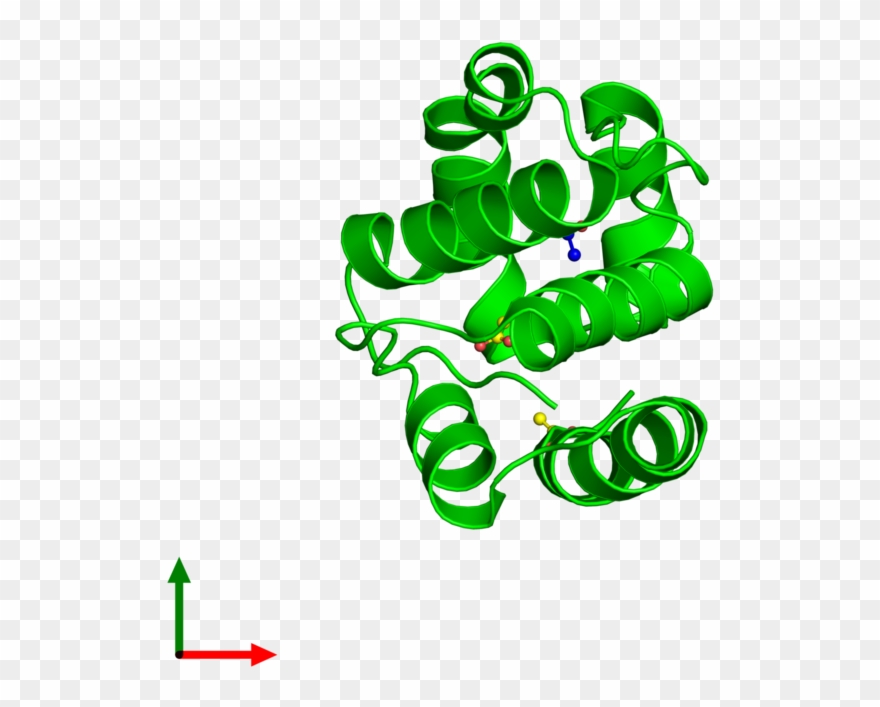 <div Class='caption-body'><ul Class ='image Legend - Molecule Clipart