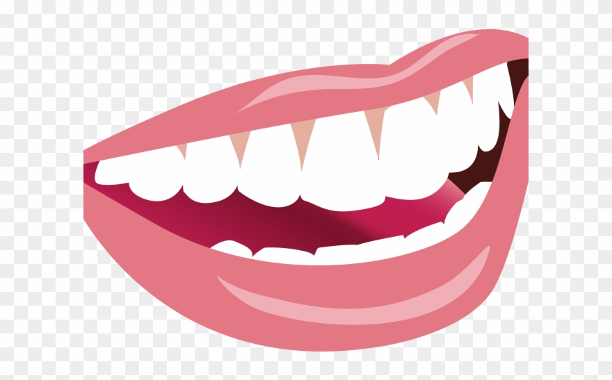 Guarantee Clipart Mouth - Teeth Smile Clip Art - Png Download