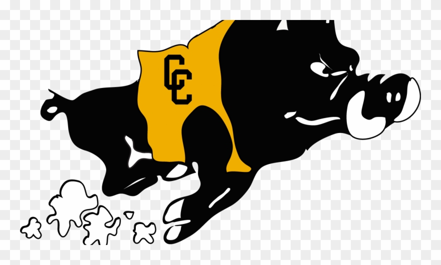 It's The Best Signing Class In The History Of Cchs - Colquitt County Packer Logo Clipart