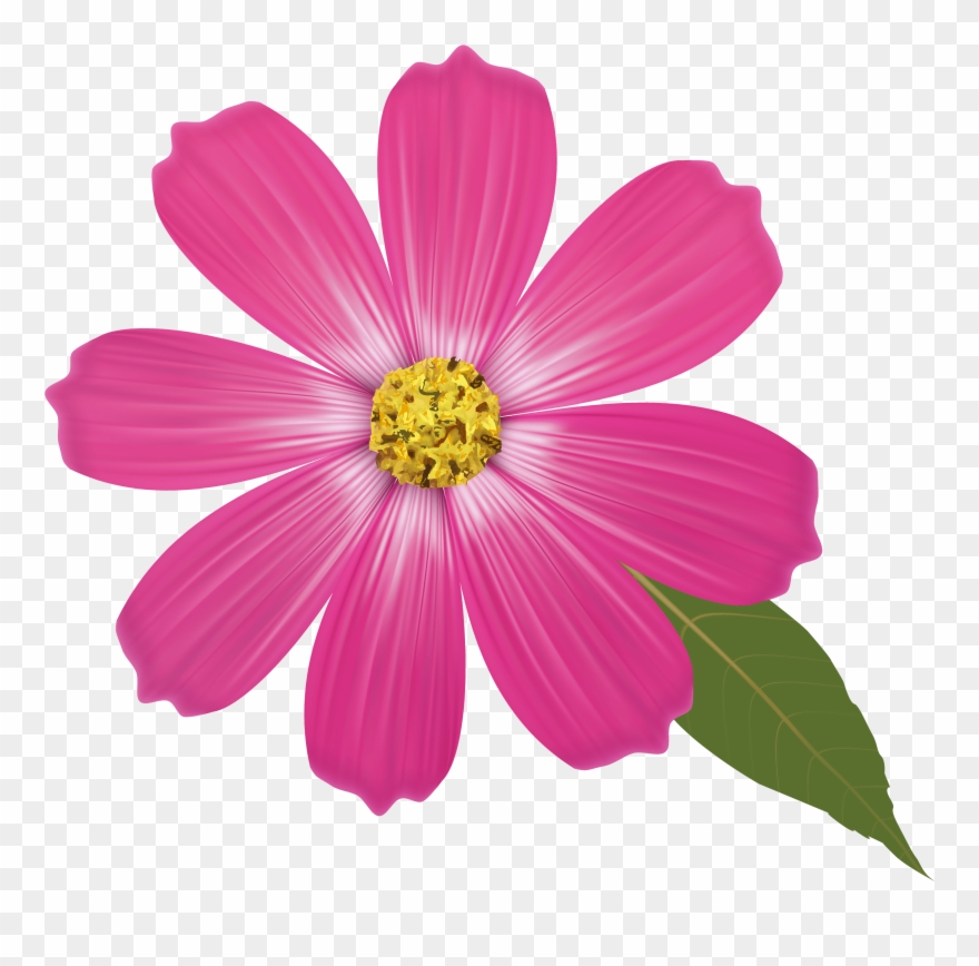 Pink Flower Png Clipart - Flower Clipart Transparent Background