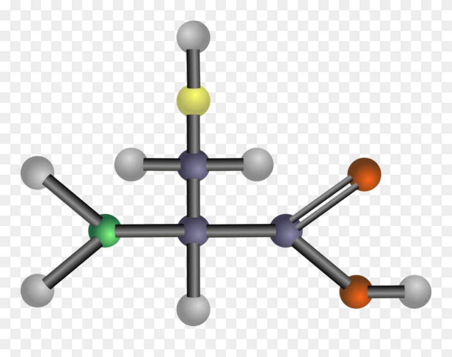 Arginine Amino Acid Amine Threonine - Amino Acids: Biochemistry And Applications Clipart