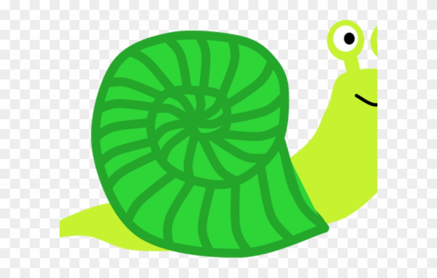 Snail Clipart Green Snail - Clip Art - Png Download