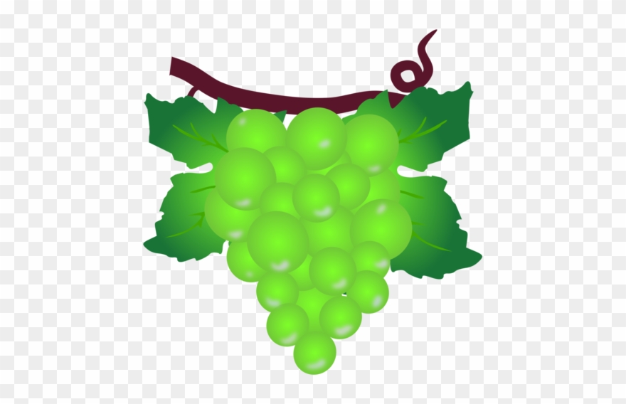 Grape Berry Poland Muscat Raceme - Grape Clipart
