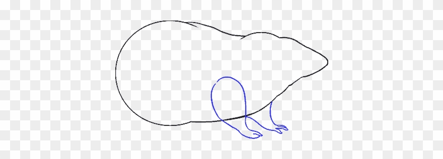 Banner Black And White Download How To Draw A Rat - Sketch Clipart