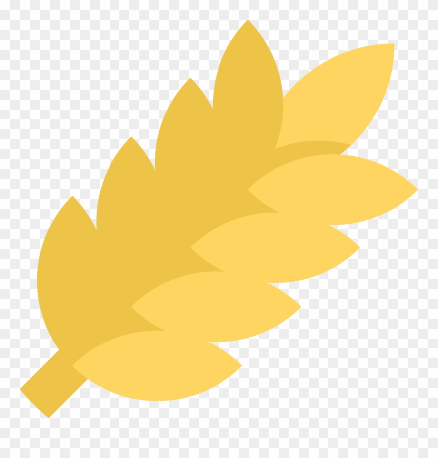 Look Around The Map Below To See Where Queal Gets Its - Rice Protein Clipart