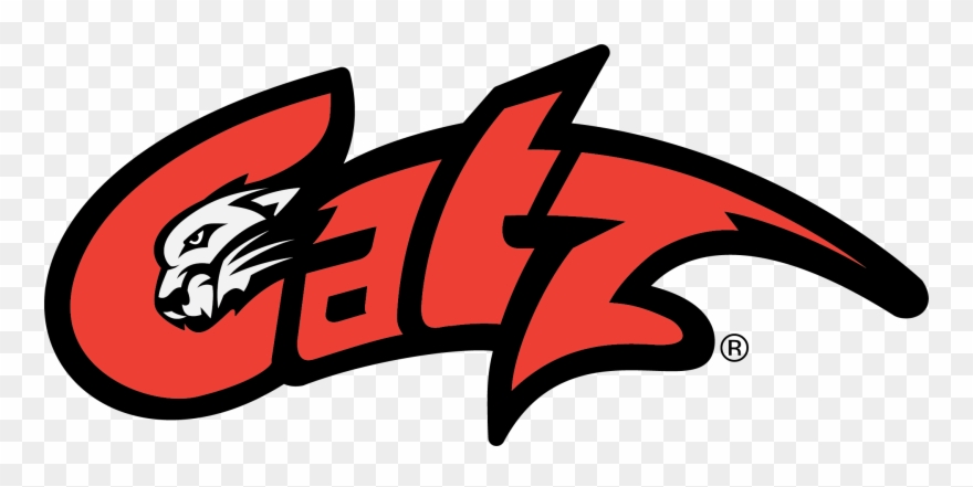 Sports Injuries And Return To Assessment Catz - Catz Pasadena Clipart