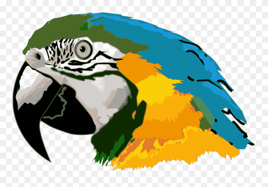 Arara Azul Desenho - Parrot Head Clip Art - Png Download