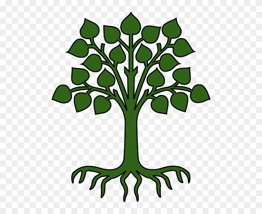 Caramel Apples - Tree With Leaves And Roots Clipart