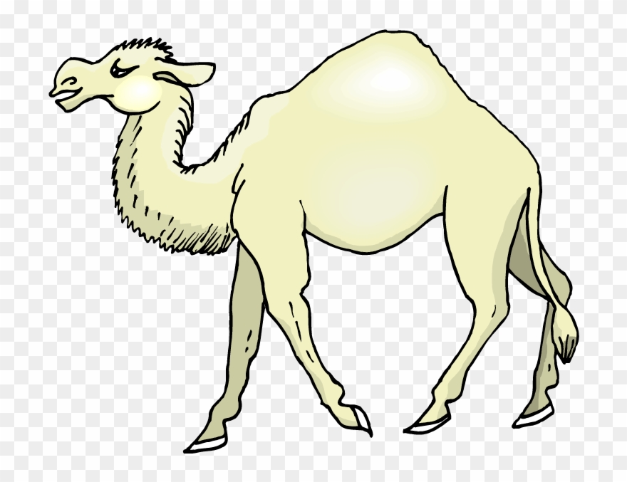 Nativity Clipart Clip Art Shepherd Dog Face Clip Art - Camel Cartoon - Png Download
