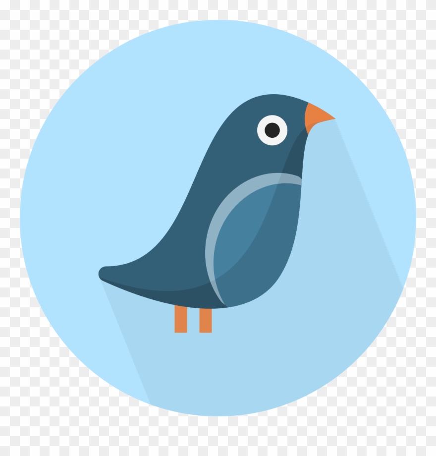 Download Clipart Transparent Stock Collection Of Boy - Bird Svg - Png Download