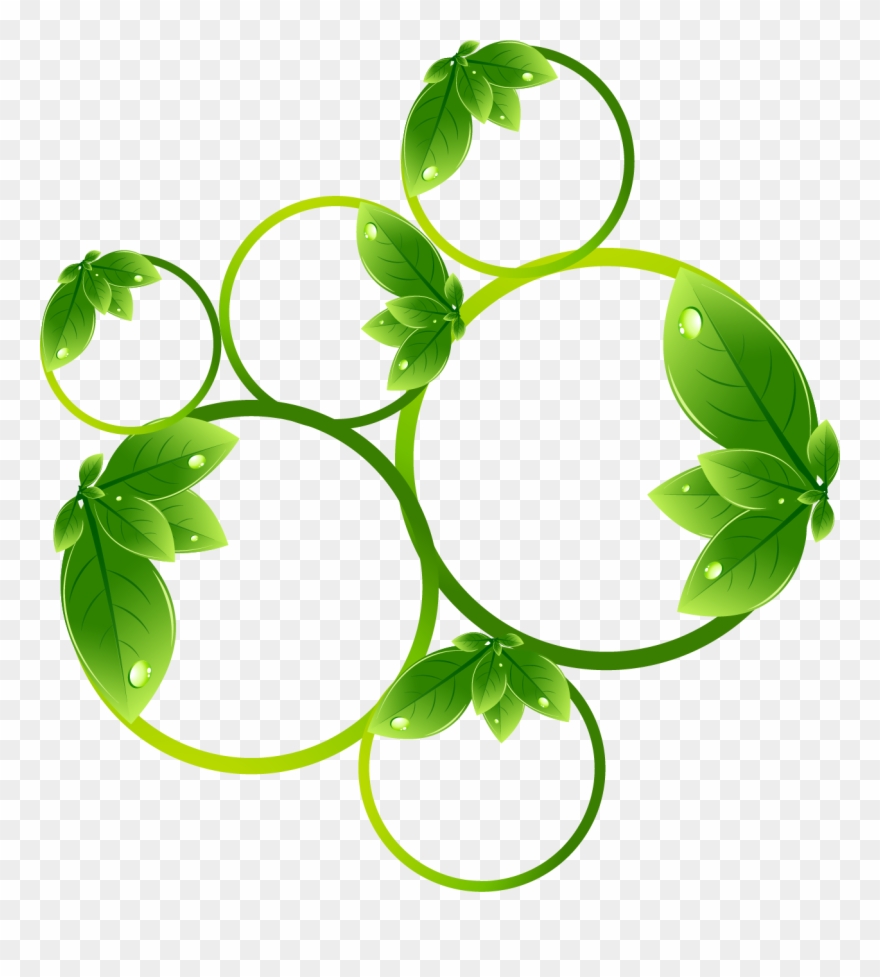 Vector Nature Herbal Banner Royalty Free Stock - Transparent Nature Clip Art - Png Download