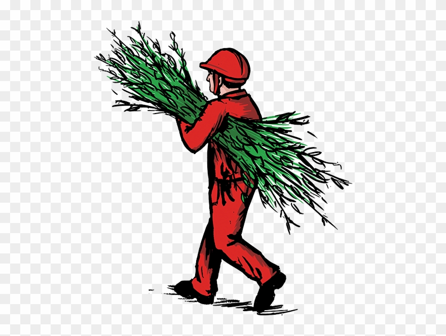 Illustrations Are A Trademark Of John Barber Pruning - Illustration Clipart