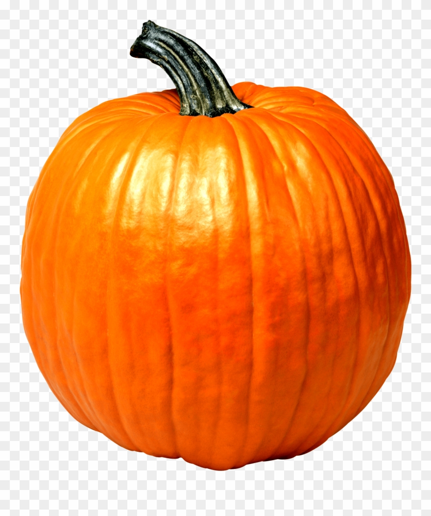 Wheres Waldo Pumpkin Edition Png Cute Pumpkin Meme Clipart