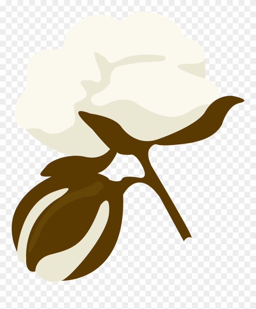 Cotton Bales Harvested In Arizona In Clipart