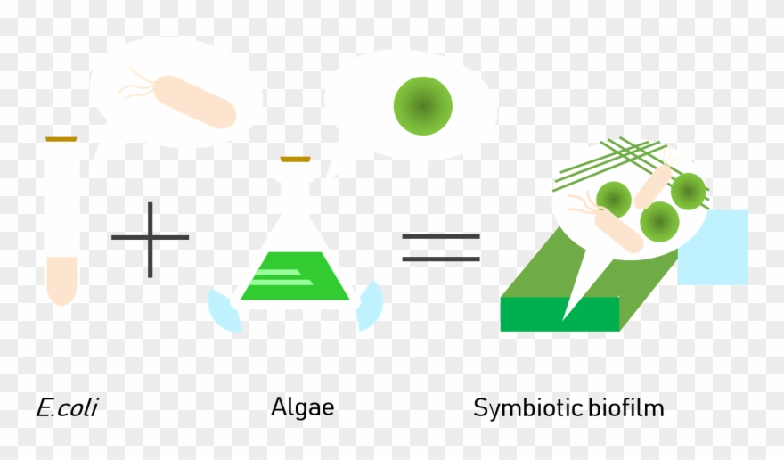 So, How Does The Bio-conveyor Work Cc Collection The - Graphic Design Clipart