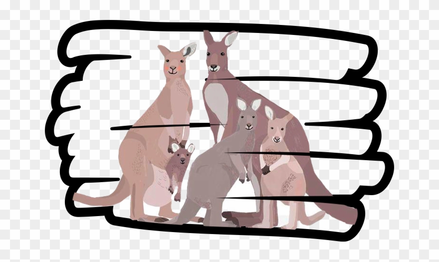 Kangaroo Clipart
