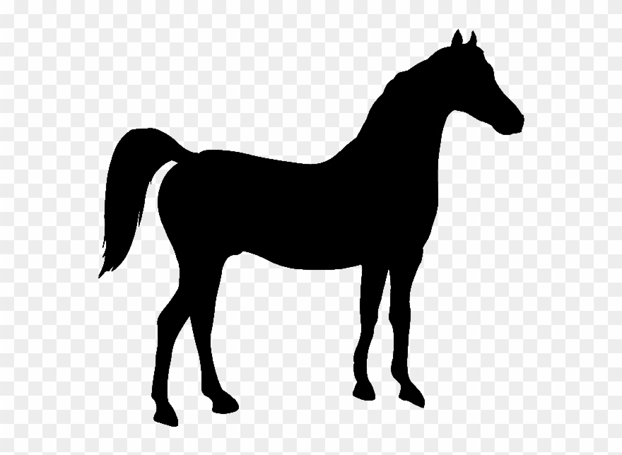 Shadow Of A Horse Clipart