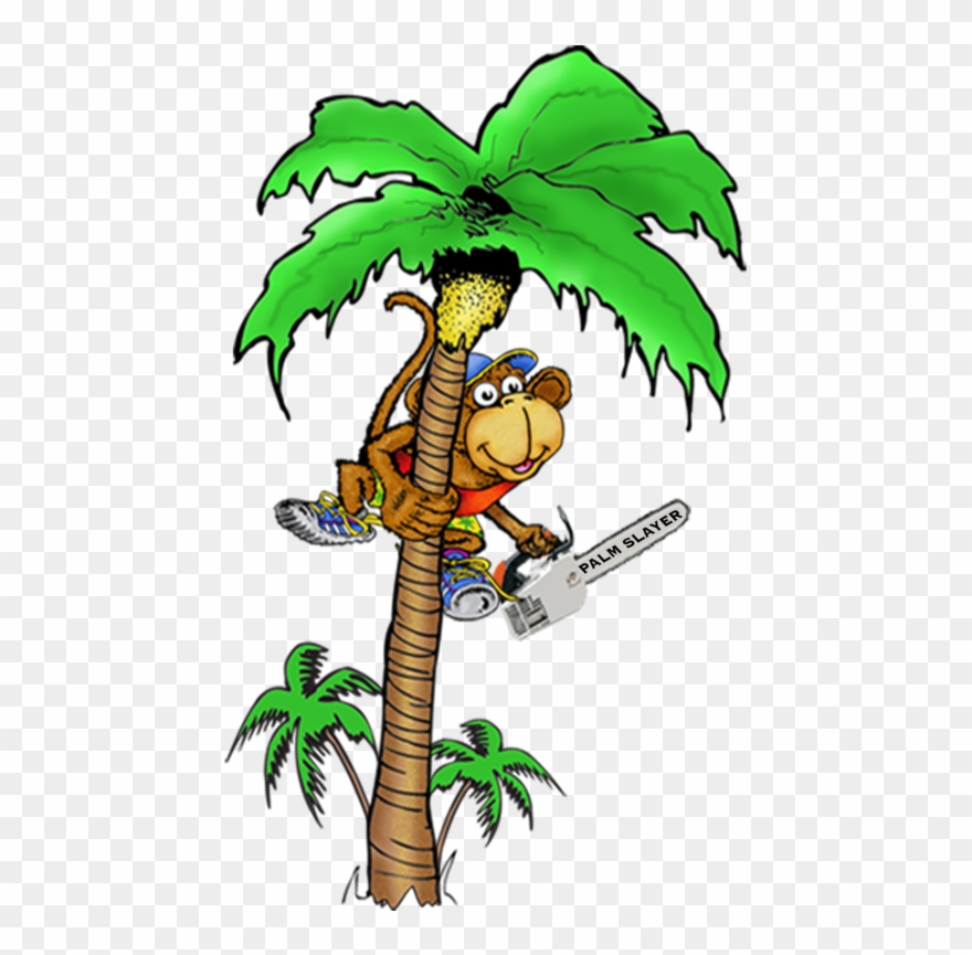 Monkey In Coconut Tree Clipart