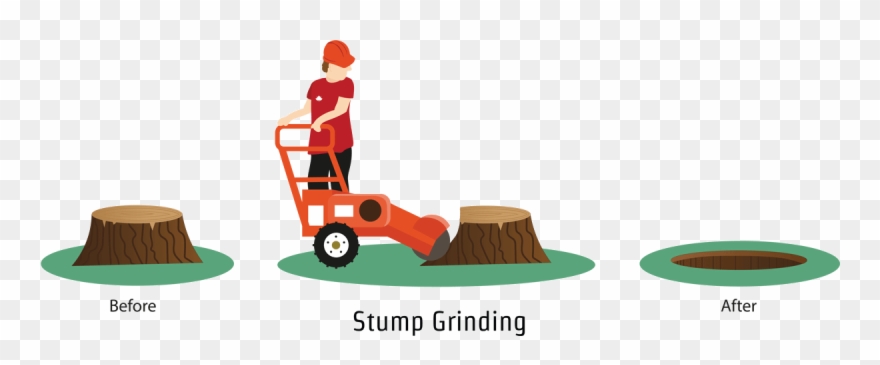 Tree Stump Removal - Stump Grinder Clipart - Png Download