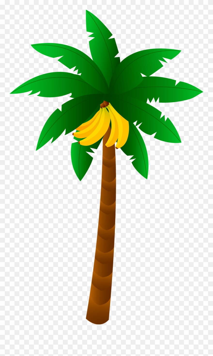 Bananas Trees - Banana Tree Clipart - Png Download