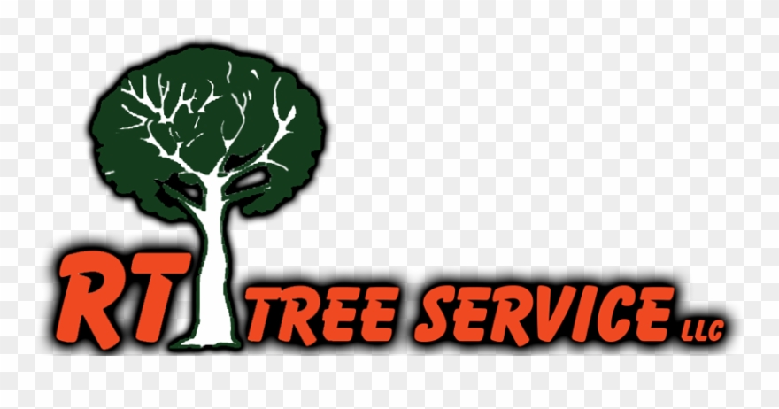 Rt Tree Service Pros - Rt Tree Service Llc Clipart