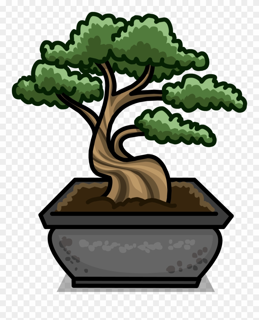 202 × 240 Pixels - Bonsai Clipart