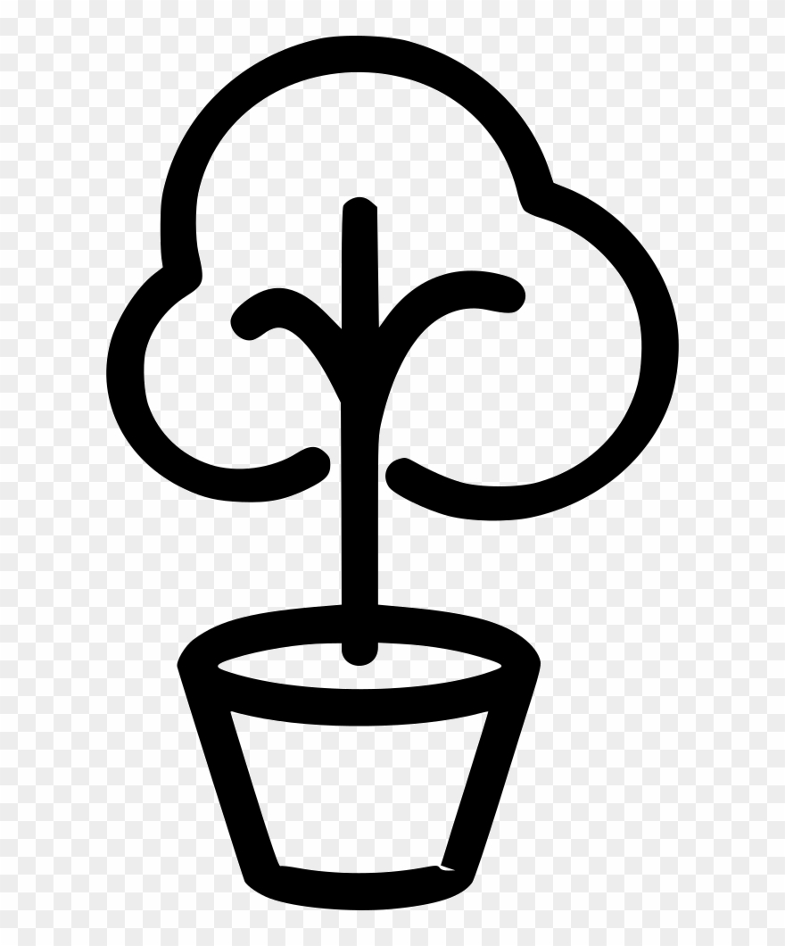 Bonsai Tree Plant Green Comments - Bonsai Ginkgo Biloba Tree Clipart