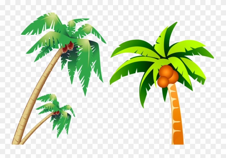 Tropical Coconut Tree Picture - ต้น มะพร้าว 3 ต้น การ์ตูน Clipart