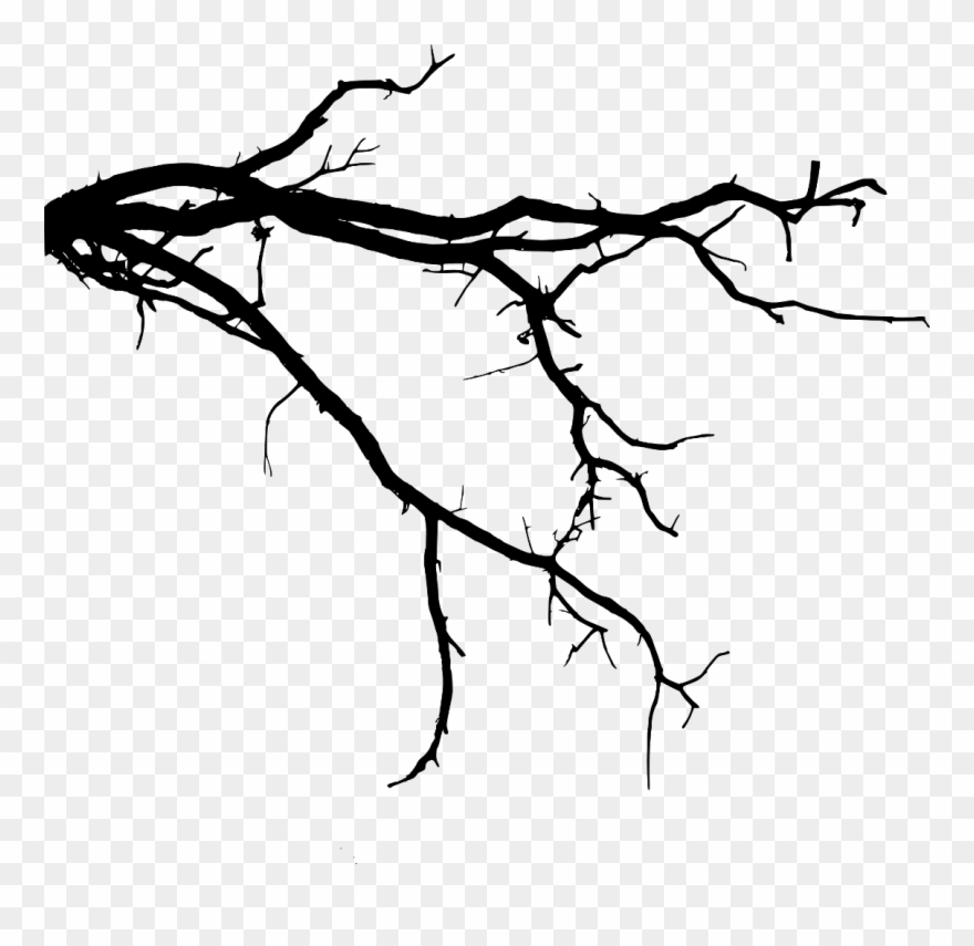 Freetoedit Tree Branch Silhouette 4trueartists Element - Tree Branch Silhouette Png Clipart
