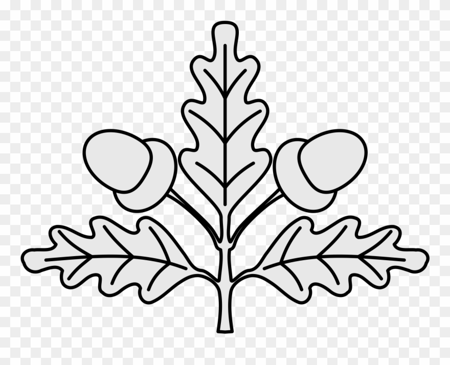 Open - Heraldic Oak Leaf Clipart