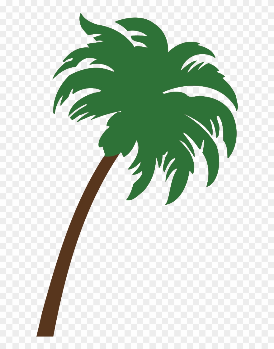 Image - Gecko In The Tropics Shower Curtain Clipart