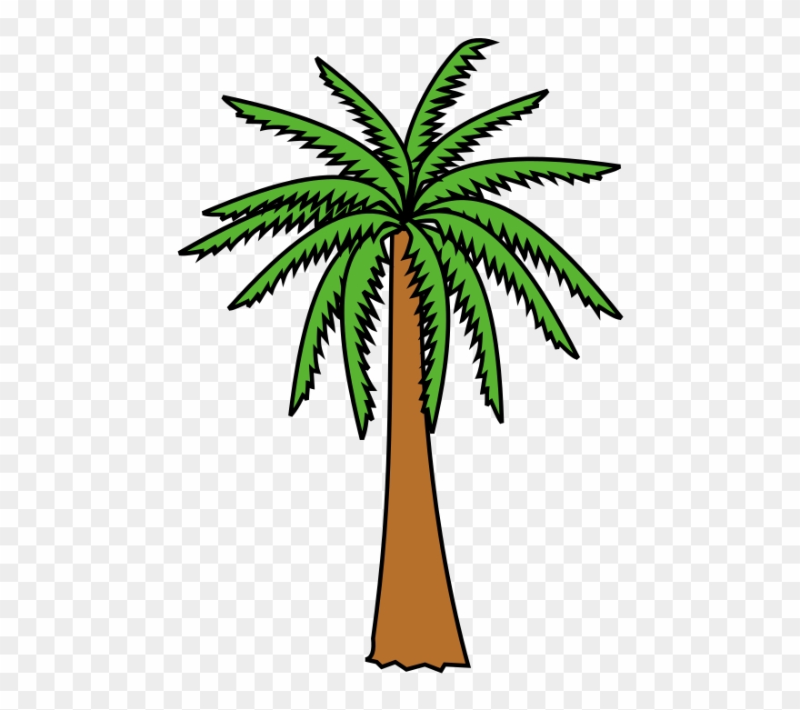 Héraldique Meuble Palmier2 - Dessin Palmier Dattier Clipart