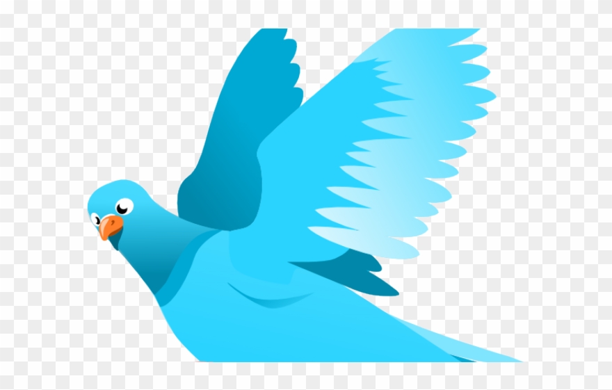 Sky Clipart Bird - Bird Flying Clipart Png Transparent Png