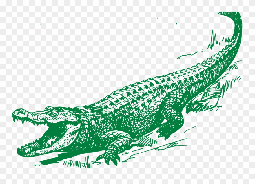 Clip Art With Transparent Background - Black And White Alligator - Png Download