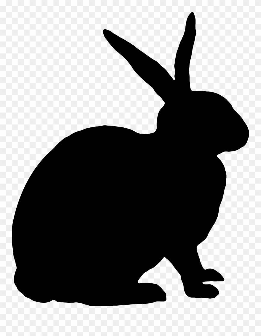 Rabbit Clipart
