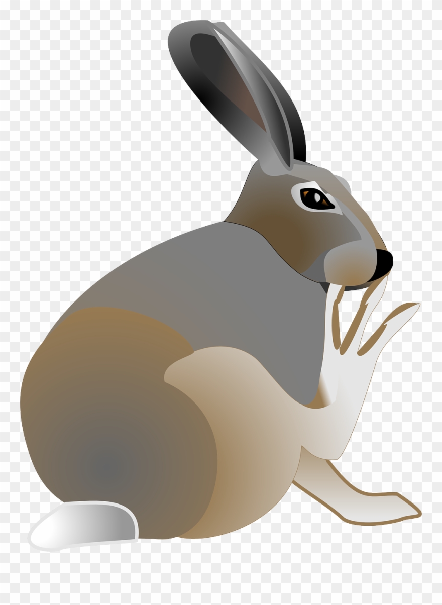 Rabbit Free Vector - Hare Clipart - Png Download
