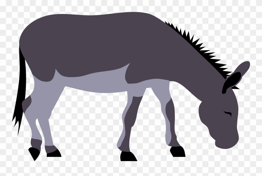 Donkey Clipart Outline - Donkey Clipart - Png Download