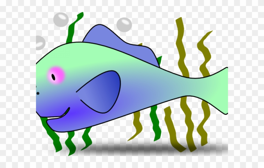 Marine Life Clipart Oceanography - Png Download